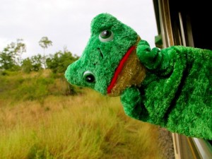 Frog on Train
