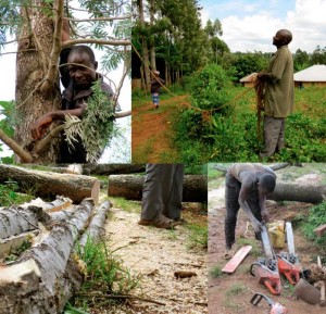 Kenya Chainsaw