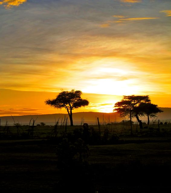 Sunset Masai Mara
