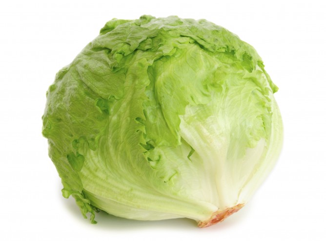 Lettuce-668x494