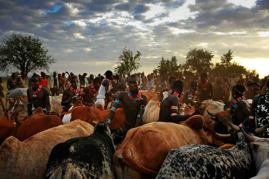 Brent Stirton Photography