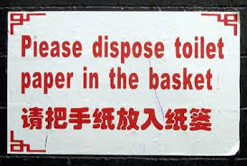 Toilet in Basket