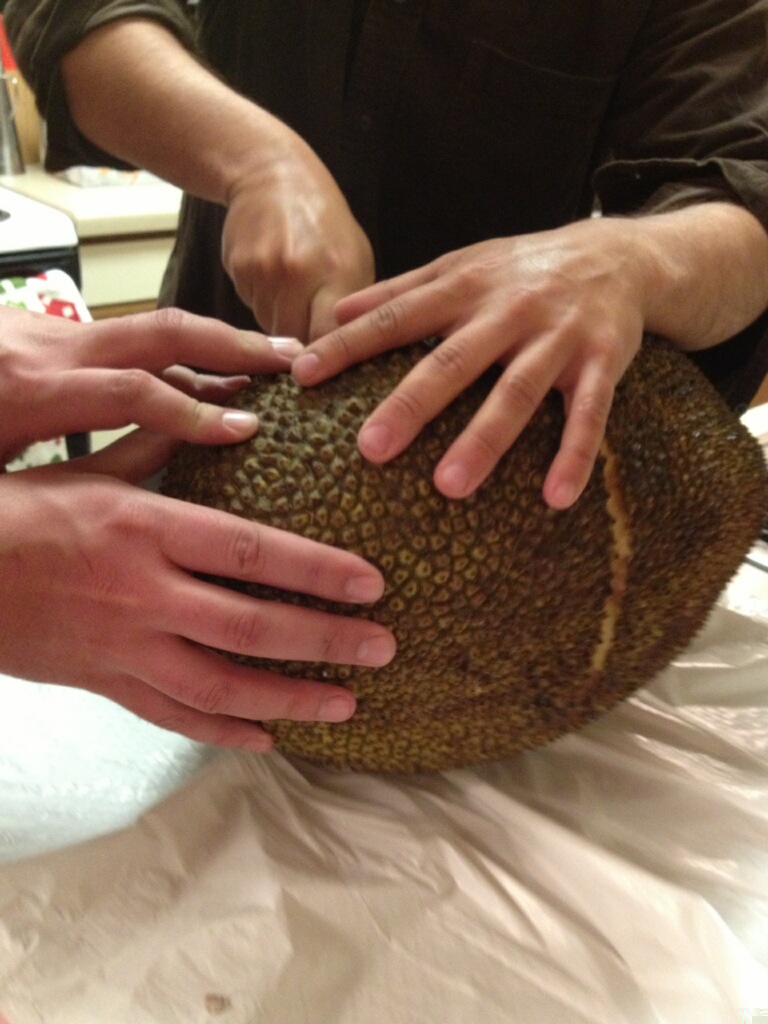 Cutting Jack Fruit