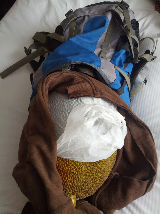 Jackfruit in backpack