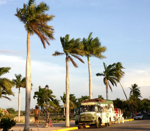 El Bicho Nicaragua