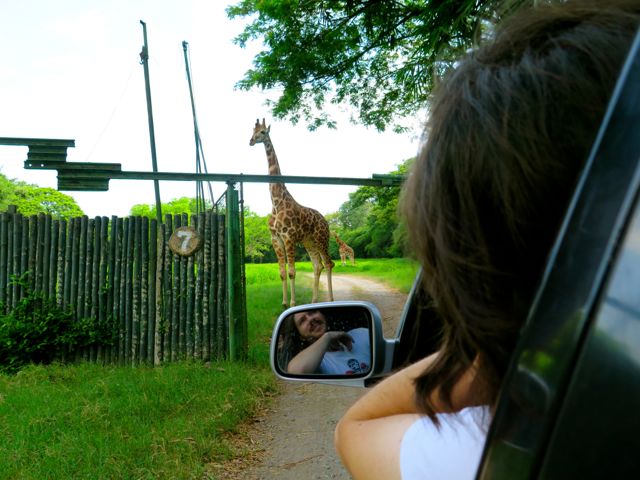 Dan and Giraffe Autosafari Chapin