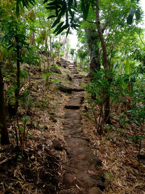 El Zopilote Ometepe Nicaragua