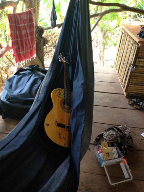 Guitar in Hamock