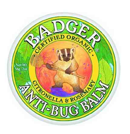 When badgers meet bugs, they do not fear them. Weilding their magic honey sticks, arthropods do not even see them coming. They stand no chance. 