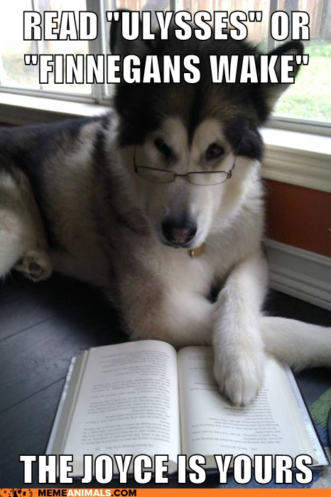 Dog Reading Book Meme Nomad's Nomad