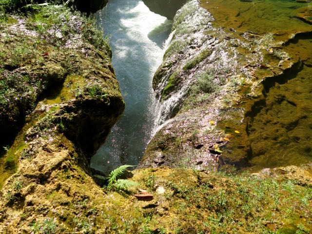 Semuc Champey Chasm