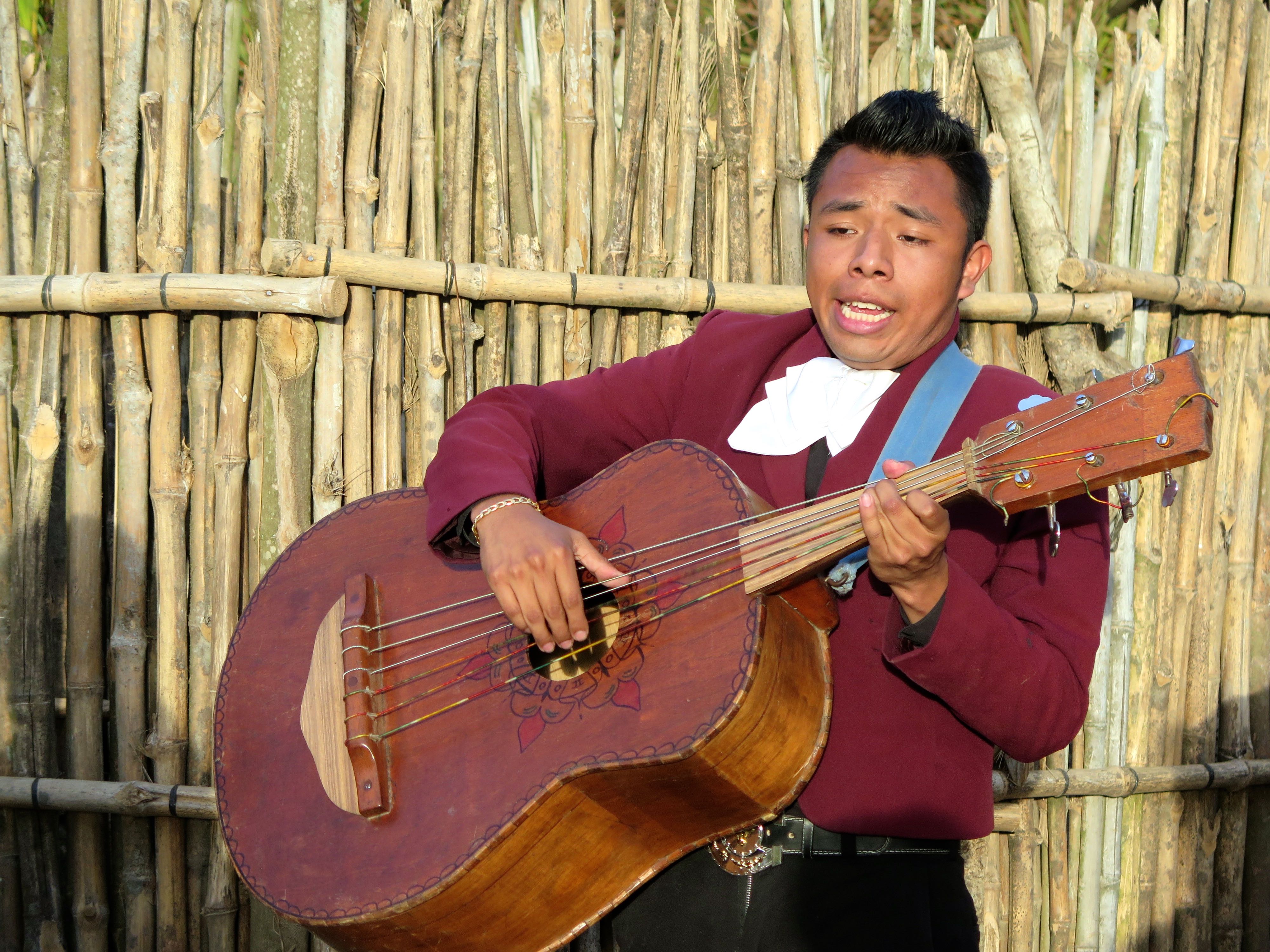 Los Luceros Bajo Mariachi o Muerte 2015