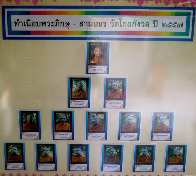 The Monks of Thailand